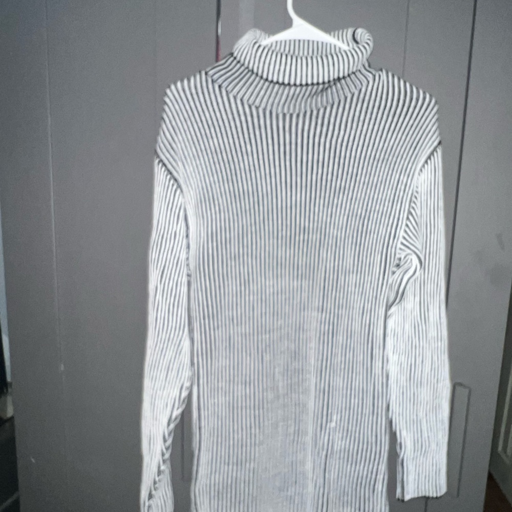 PLT Striped Tyrtle neck Sweater Dress